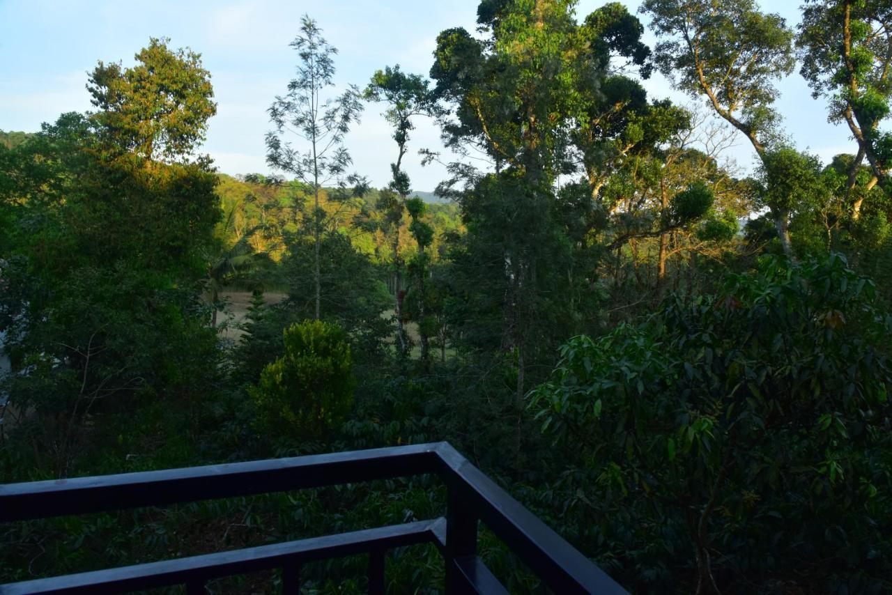 Grand Misty Heaven Villa Madikeri Ngoại thất bức ảnh